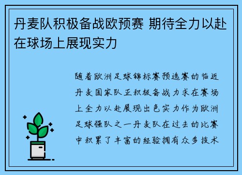 丹麦队积极备战欧预赛 期待全力以赴在球场上展现实力
