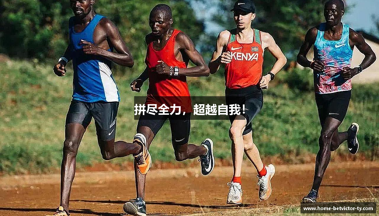 关于韦德体育